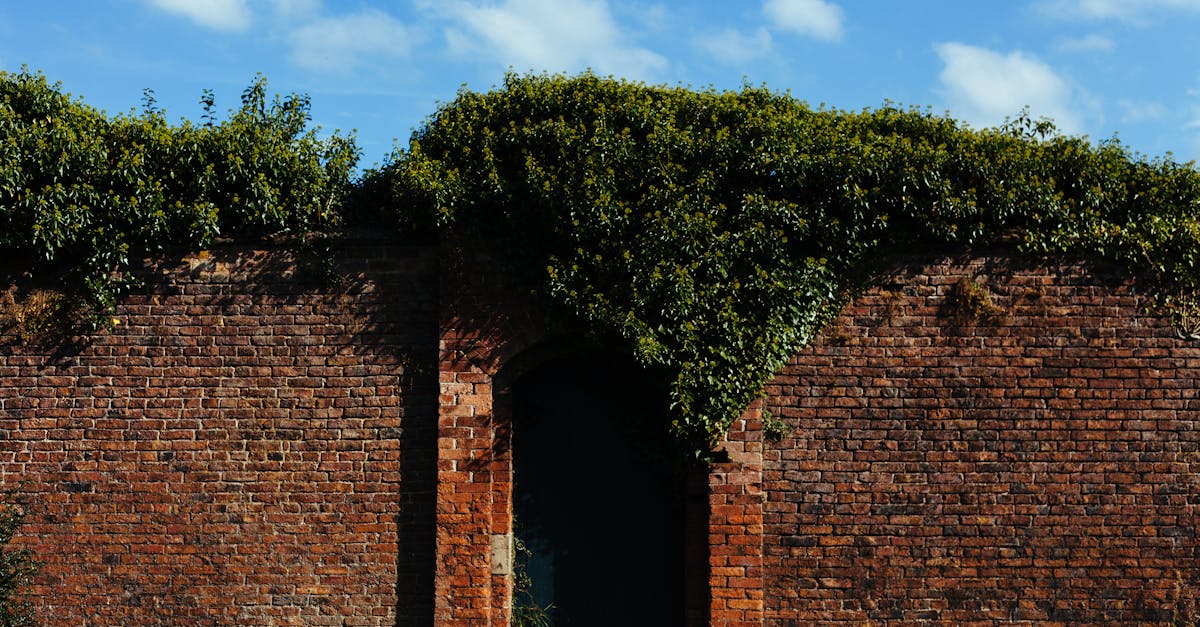 third_section_image_data.image_alt