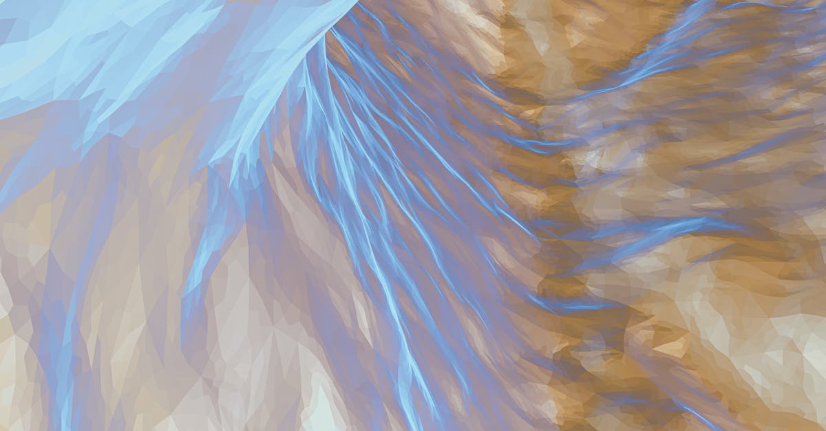 third_section_image_data.image_alt