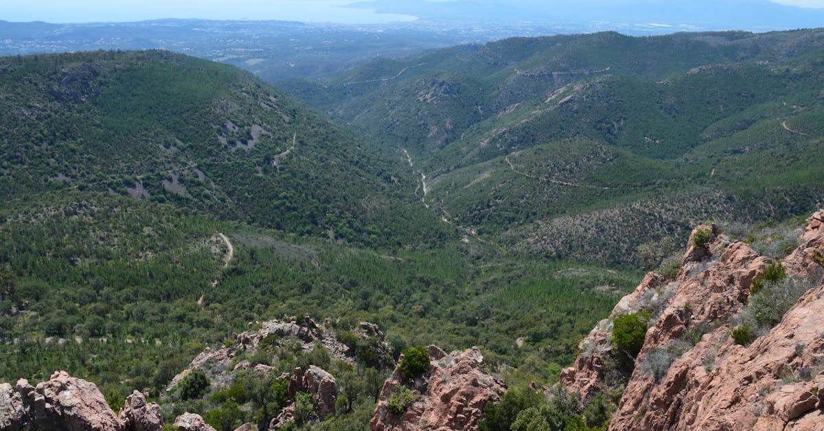 Aerial view of a lush green valley amid scenic mountains under clear blue sky.
