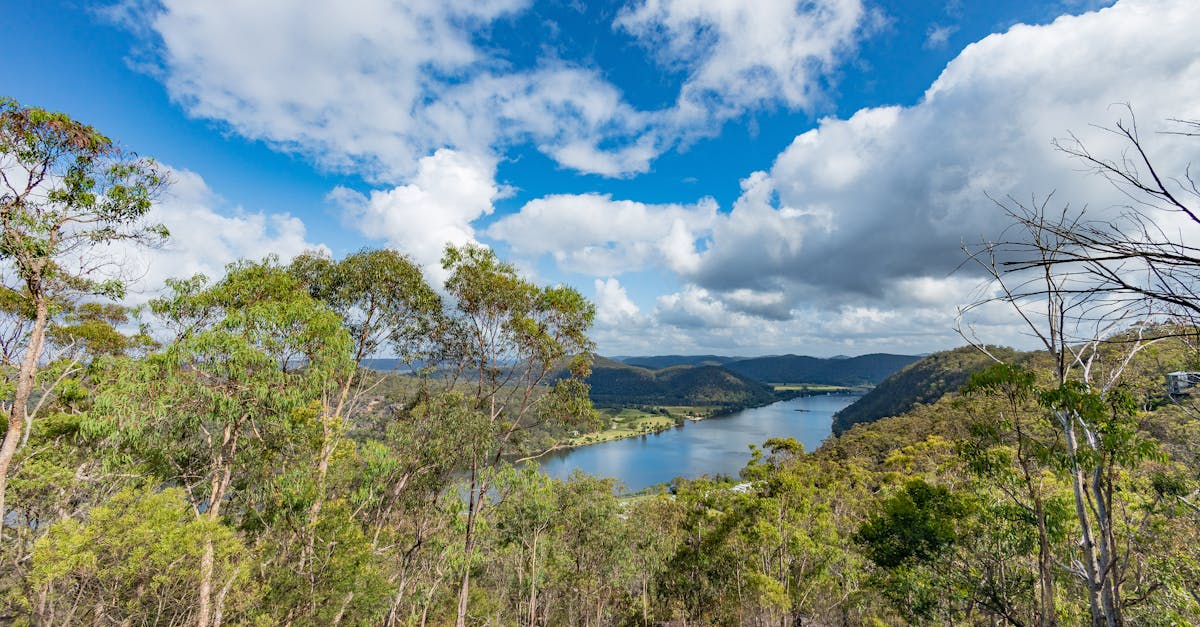 A breathtaking view of a river surrounded by lush greenery and a blue sky filled with clouds.