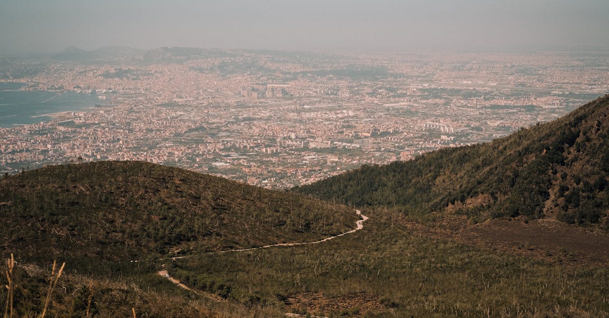 A high angle view of a vast cityscape bordered by mountains and the sea.