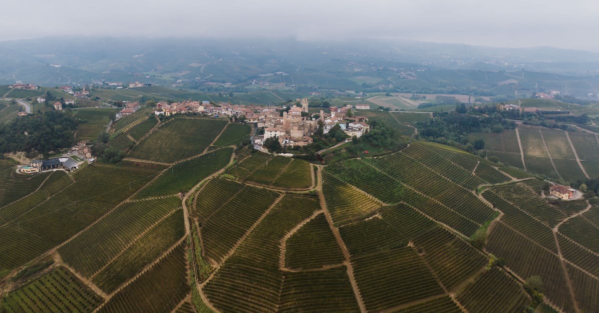 A breathtaking aerial view of vineyards and the charming village of Castiglione Falletto in Piedmont, Italy.