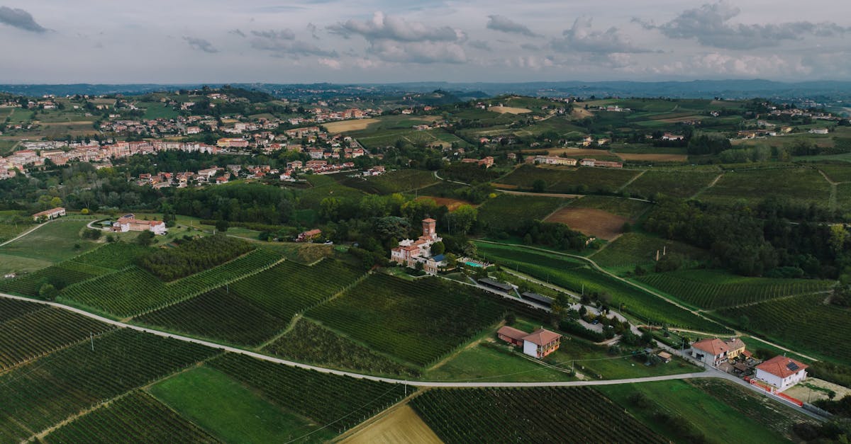 Breathtaking aerial view of the lush vineyards and countryside of Costigliole d'Asti, Piedmont, Italy.