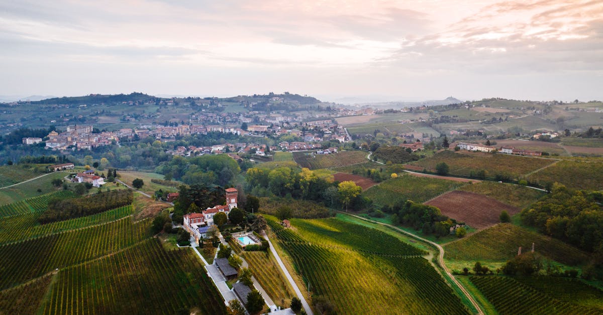 Scenic aerial view of vineyards and rural landscape in Piemonte, Italy.