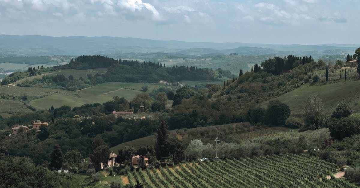 A picturesque view of rolling hills and lush vineyards in the Tuscan countryside.