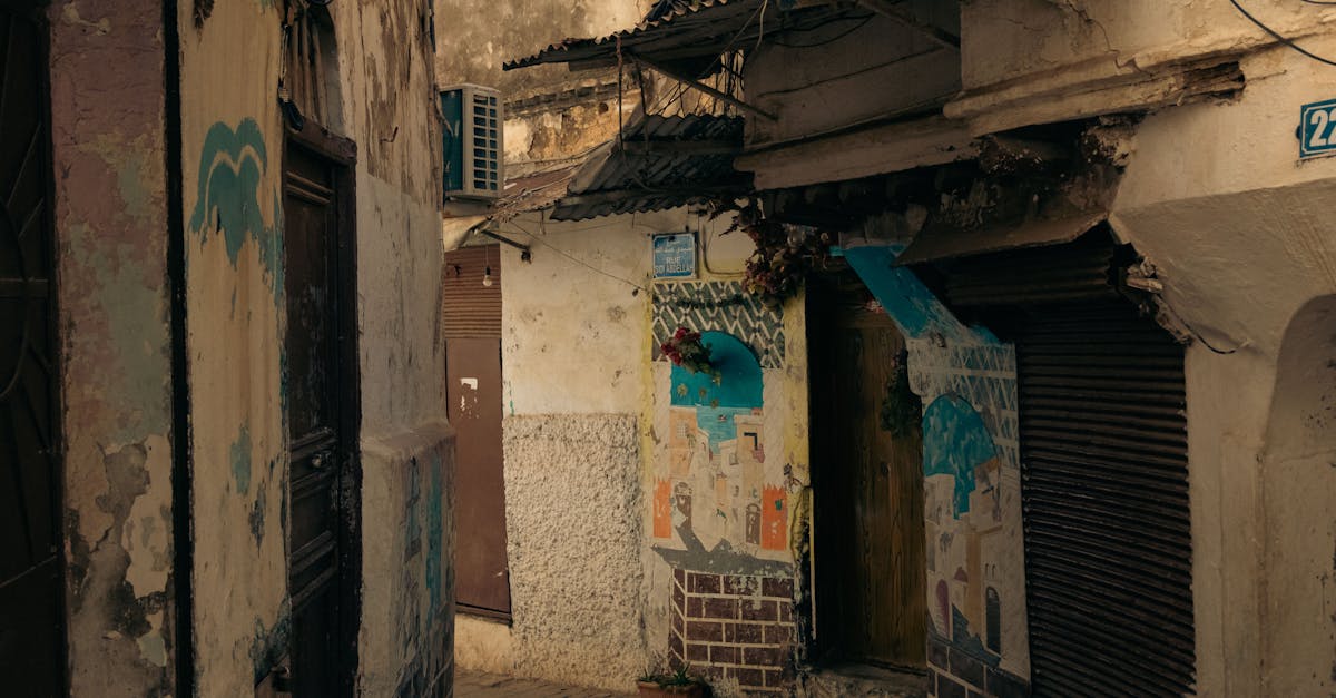 Explore a narrow urban alleyway with weathered buildings and artistic murals for a rustic street vibe.
