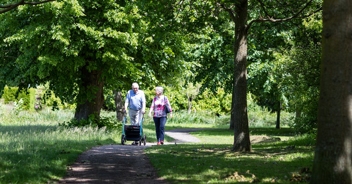 A senior couple enjoying a peaceful walk in a lush, green park path during summer.