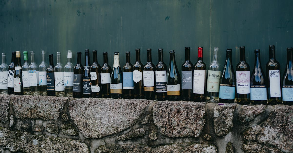 A variety of wine bottles displayed on a rustic stone wall, captured outdoors for a vintage feel.