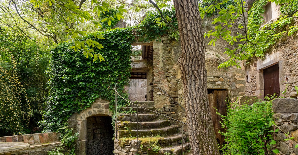 A peaceful scene of an abandoned stone building enveloped by lush greenery.
