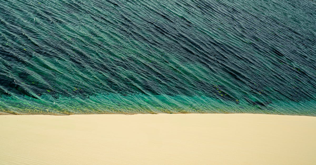 A tranquil beach scene featuring turquoise waves meeting golden sand under clear skies.
