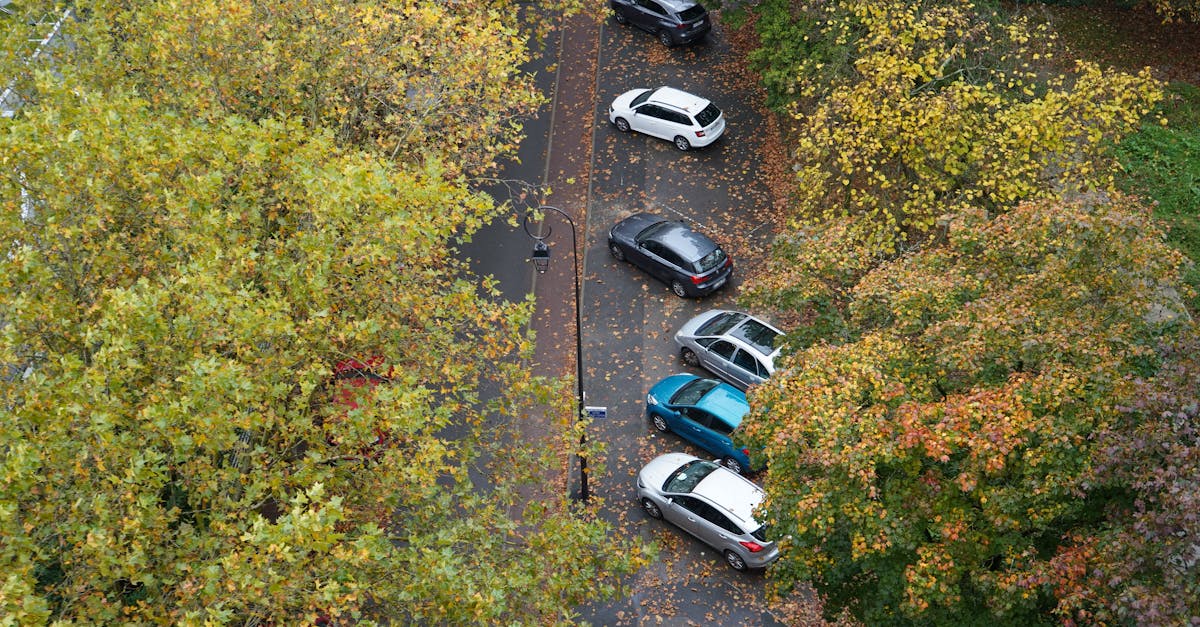 third_section_image_data.image_alt
