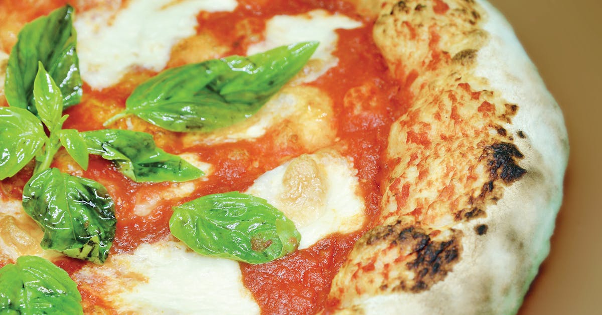 Close-up of a freshly baked Neapolitan pizza with mozzarella and basil leaves.