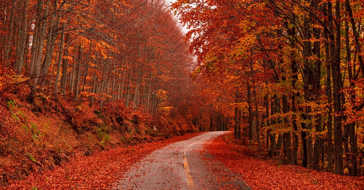 third_section_image_data.image_alt
