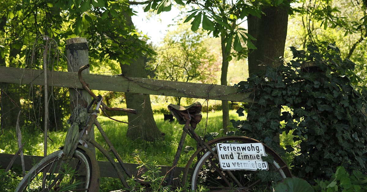 Abandoned bicycle in a lush forest with rental sign, evoking rustic charm.