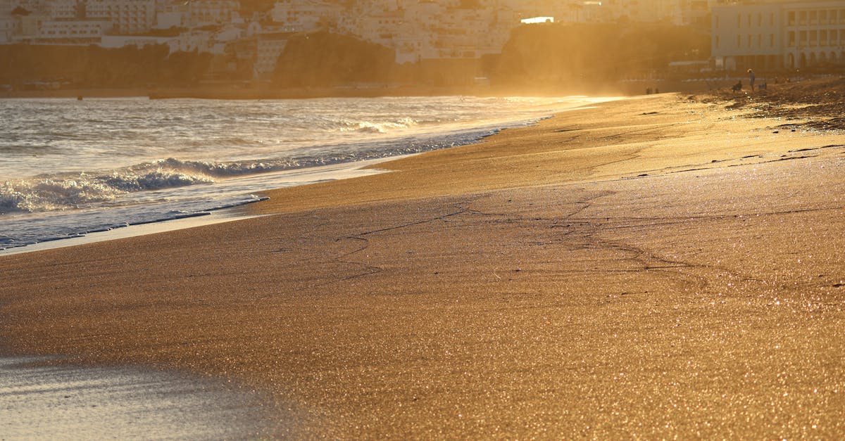 Sunset view of a golden beach with sparkling sand and soft ocean waves.