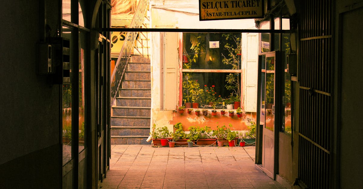 Explore a serene alleyway with vintage decor, lush plants, and a warm ambiance.