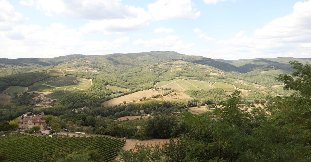 Aerial view of Tuscany's rolling hills and vineyards under a bright sky.