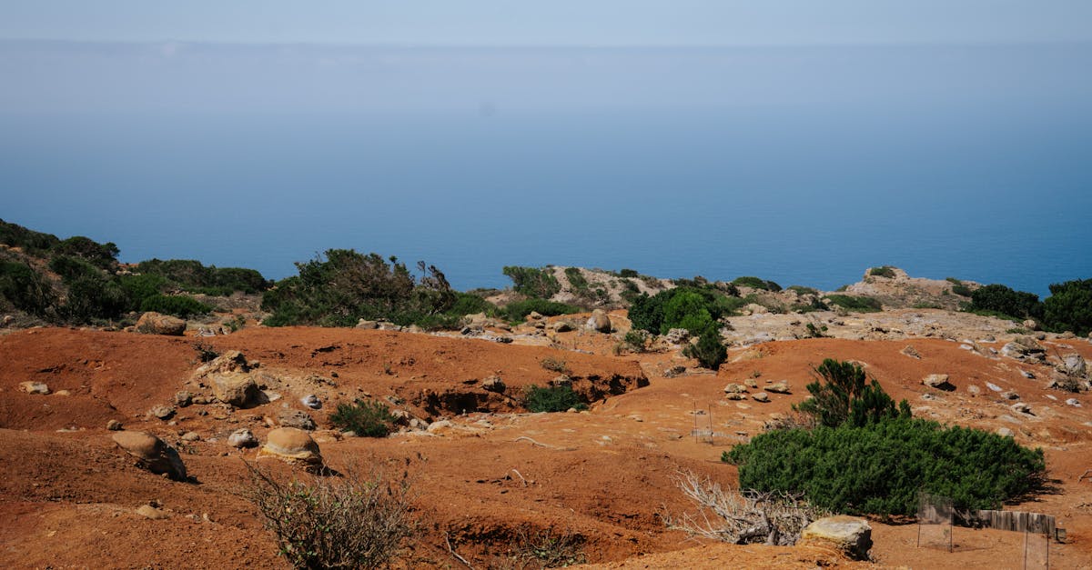 Discover the vibrant volcanic landscape and ocean view of Vallehermoso, Canary Islands.