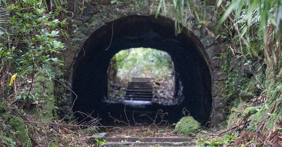 Explore a hidden tunnel deep within the lush greenery of New Taipei City, Taiwan.