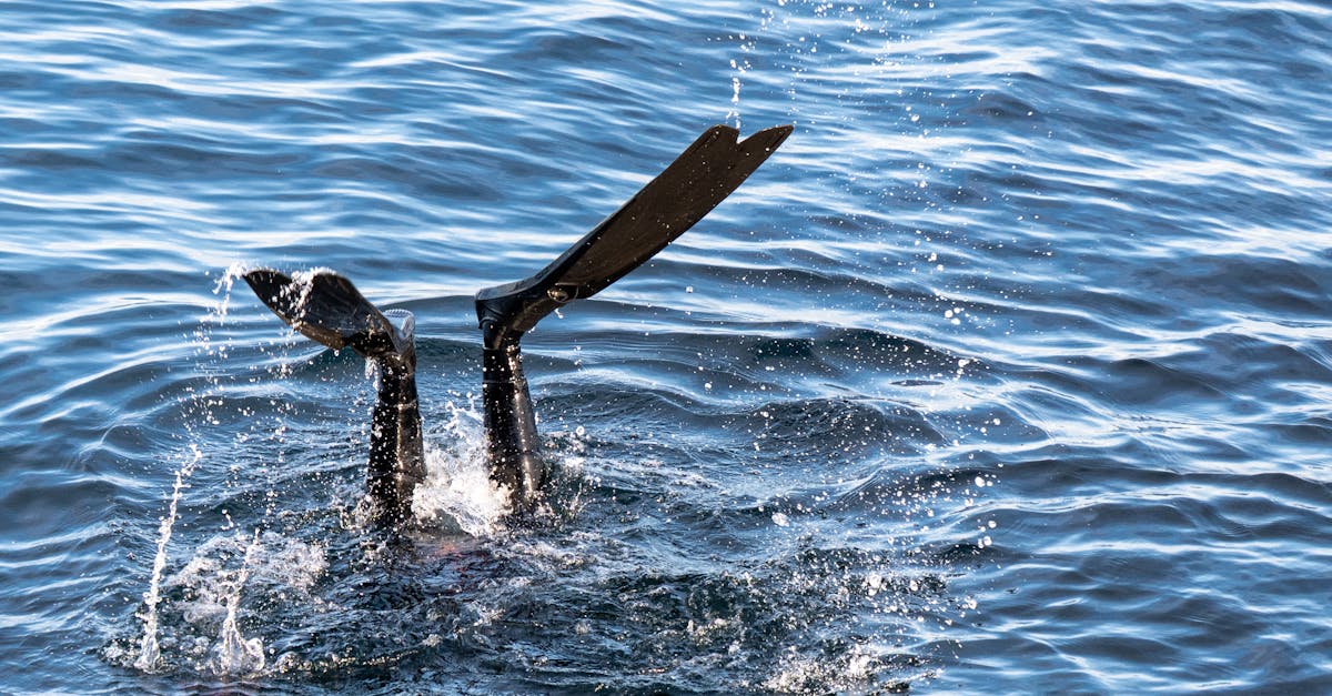 A diver's legs and flippers emerge from the calm blue ocean, showcasing underwater excitement.