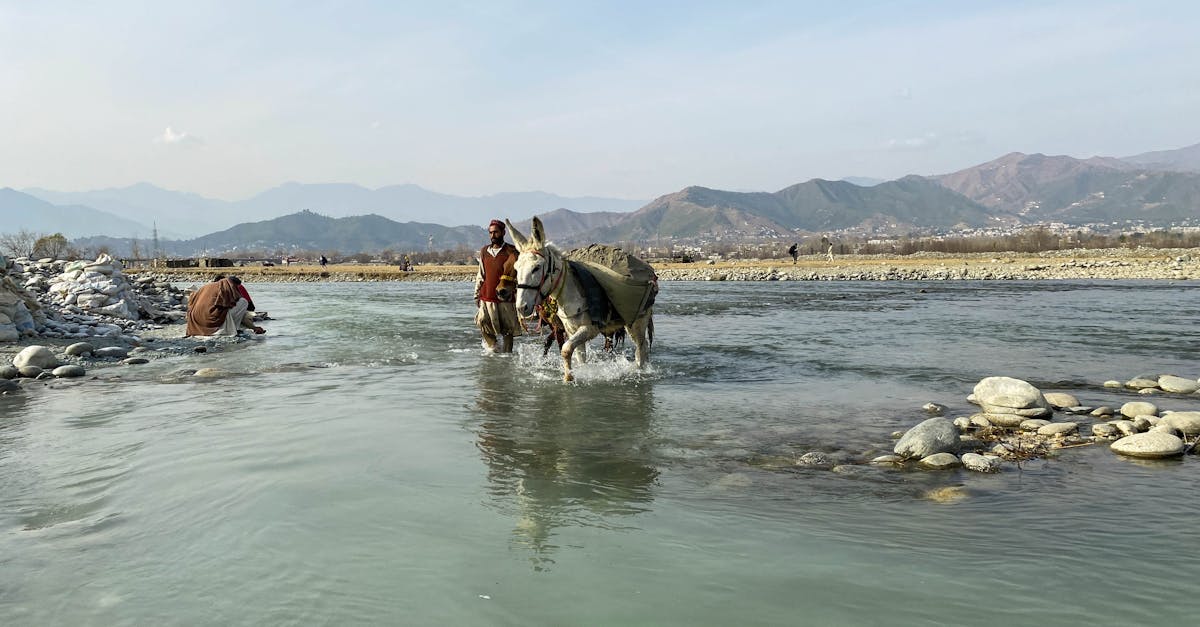 A man and donkey cross the scenic Swat River surrounded by mountains in Pakistan.