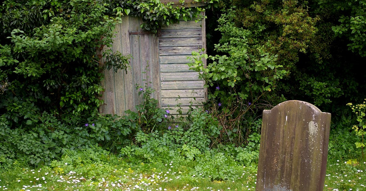 Rustic wooden door with weathered tombstone, framed by lush, overgrown foliage.