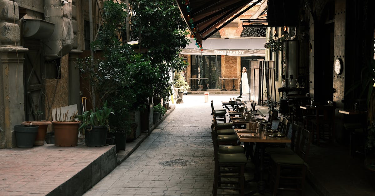 Cozy alleyway with outdoor cafe seating, lush greenery, and a solitary pedestrian.