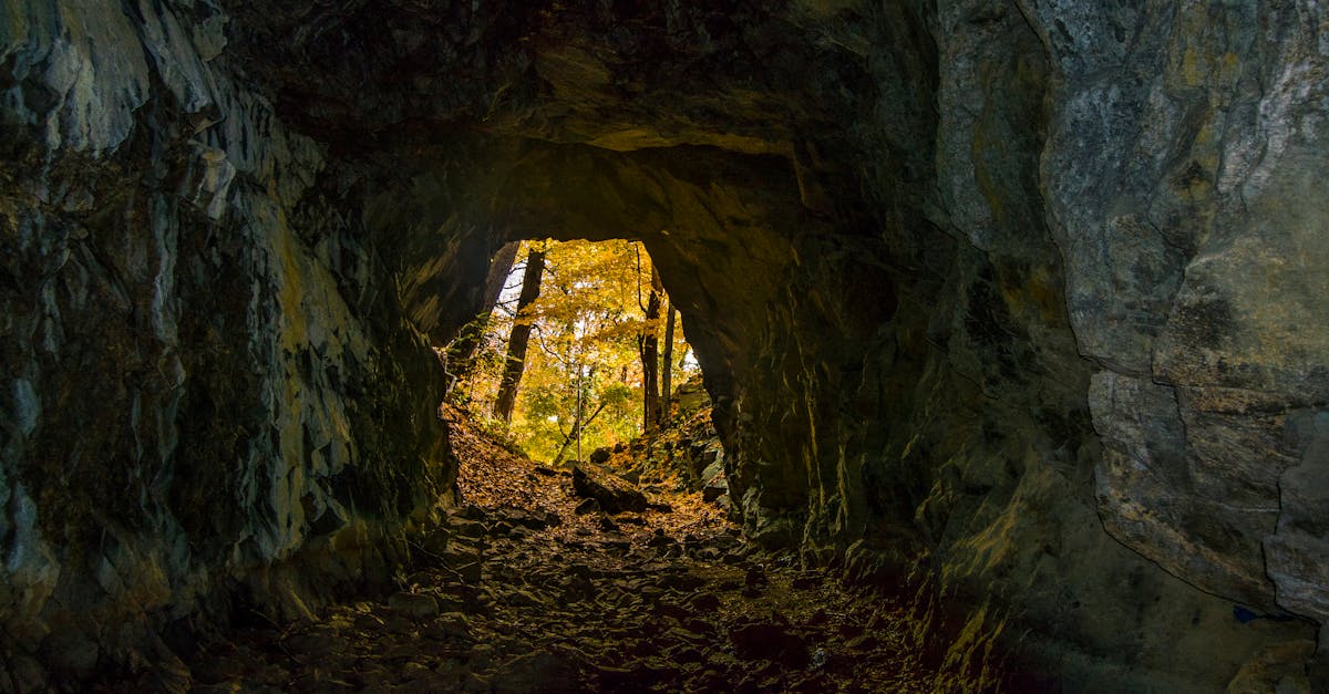 An autumn forest view framed through a dark cave entrance, showcasing vibrant fall foliage.