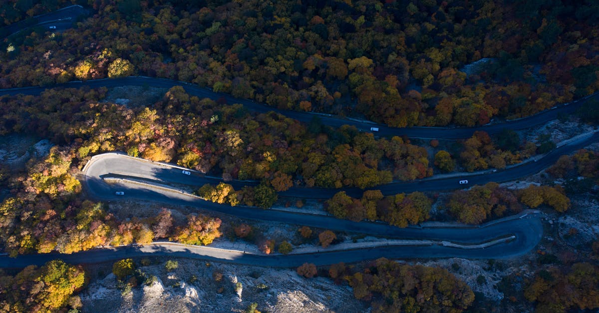 Aerial image of a winding country road through vibrant autumn foliage, captured in daylight.