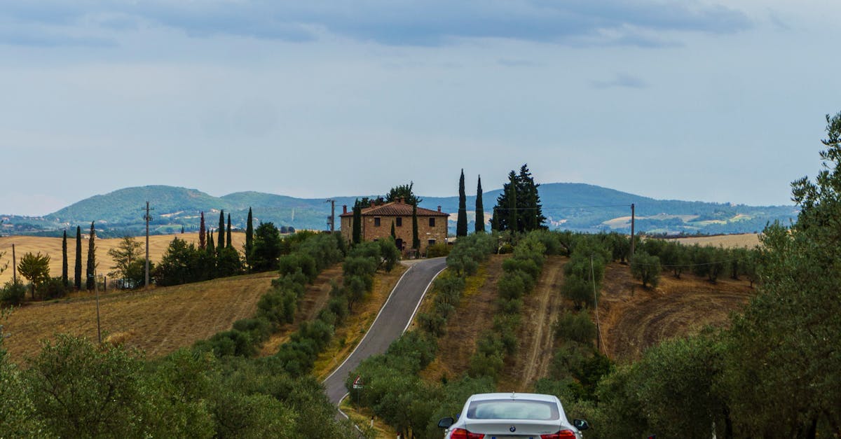 A car travels down a picturesque road in Tuscany, Italy, surrounded by olive groves and rolling hills.