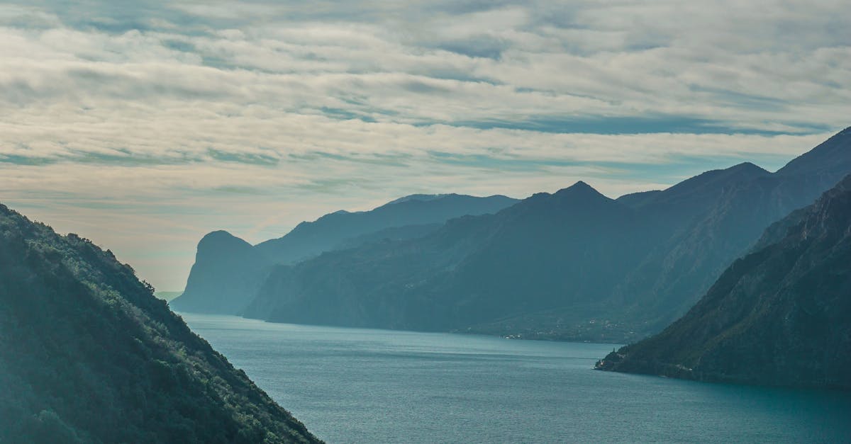third_section_image_data.image_alt