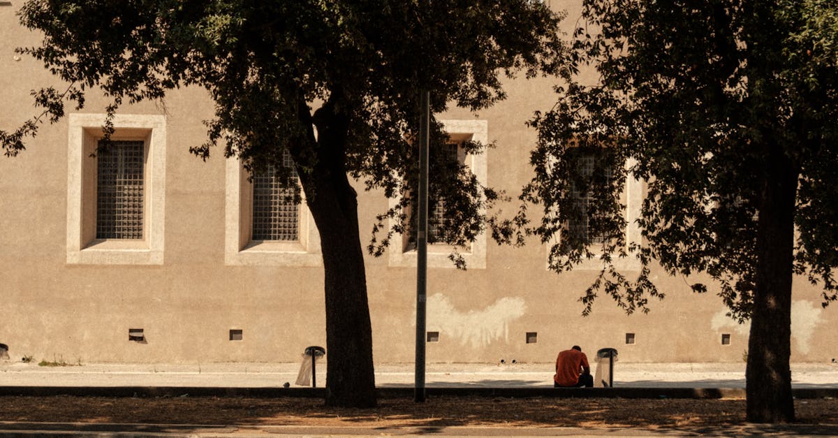 A solitary figure in red sits by a tree-lined, shadowed street wall, evoking a sense of solitude.